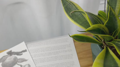 Portable Inkless A4 Printer: Bluetooth & App for Easy Printing